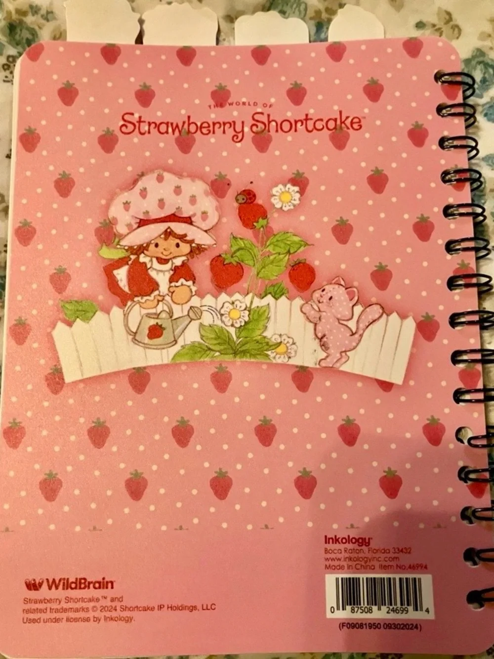 NEW Vintage Inspired Strawberry Shortcake Lined Notebook